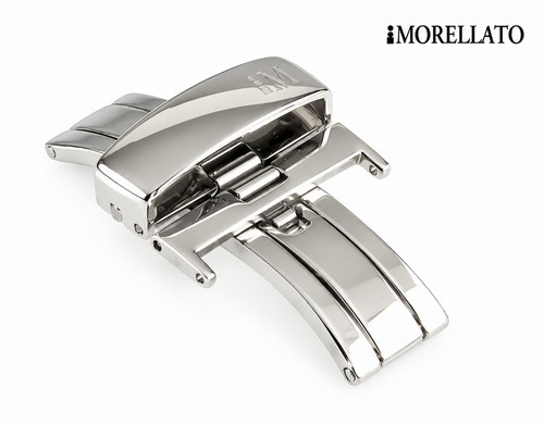 Morellato butterfly - morellato, butterfly-
